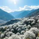 阿坝旅游 缩略图 6