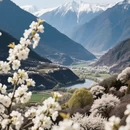 阿坝旅游 缩略图 7