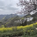 黄山旅游 缩略图 3