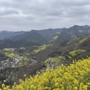 黄山旅游 缩略图 4