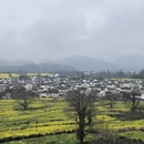 黄山旅游 缩略图 14