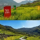 黄山旅游 缩略图 4