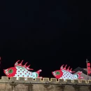 黄山旅游 缩略图 13