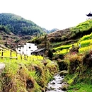 黄山旅游 缩略图 14