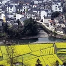 黄山旅游 缩略图 12