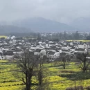 黄山旅游 缩略图 15