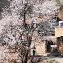 阿坝旅游 缩略图 2
