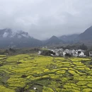 黄山旅游 缩略图 17