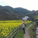 黄山旅游 缩略图 17