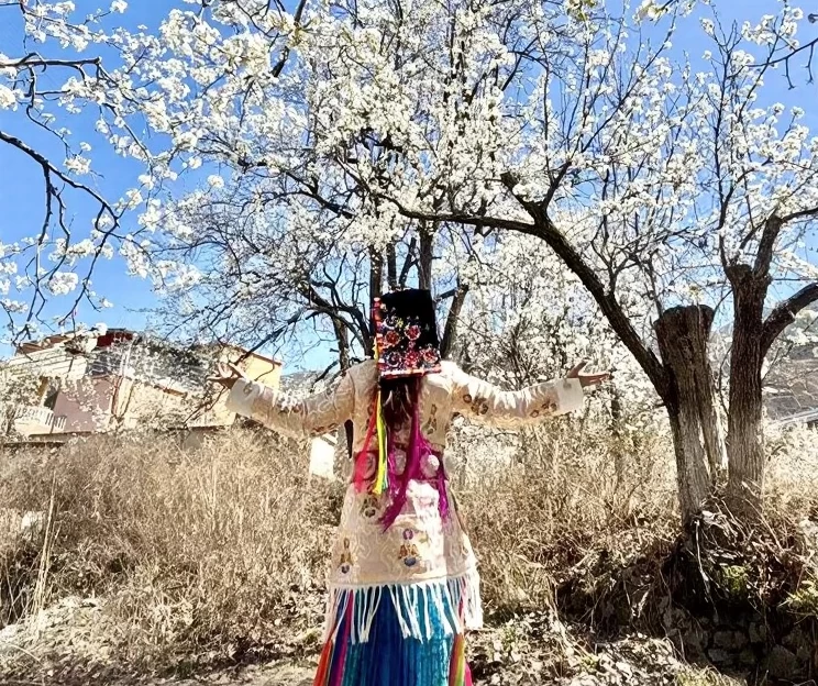 阿坝旅游 1