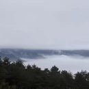黄山旅游 缩略图 18