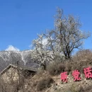 阿坝旅游 缩略图 2