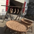 黄山旅游 缩略图 18