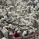 阿坝旅游 缩略图 2