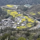 黄山旅游 缩略图 5