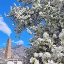 阿坝旅游 缩略图 6
