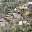 黄山旅游 缩略图 6