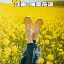 黄山旅游 缩略图 1