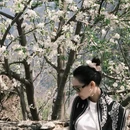 阿坝旅游 缩略图 11