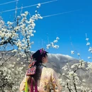 阿坝旅游 缩略图 3