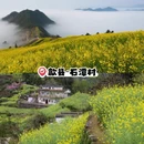 黄山旅游 缩略图 13