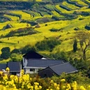 黄山旅游 缩略图 16