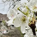 阿坝旅游 缩略图 6