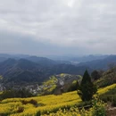 黄山旅游 缩略图 1