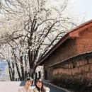 阿坝旅游 缩略图 14