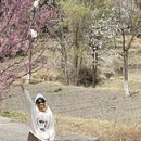 阿坝旅游 缩略图 9