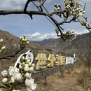 阿坝旅游 缩略图 10