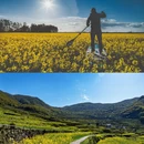 黄山旅游 缩略图 14