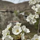 阿坝旅游 缩略图 5