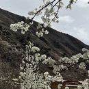 阿坝旅游 缩略图 13