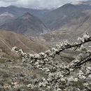 阿坝旅游 缩略图 11