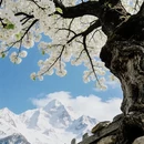 阿坝旅游 缩略图 3