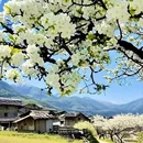 阿坝旅游 缩略图 5