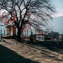 乐山旅游 缩略图 6