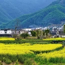 黄山旅游 缩略图 7