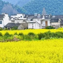 黄山旅游 缩略图 8