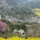 黄山旅游 缩略图 3