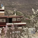 阿坝旅游 缩略图 17