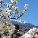 乐山旅游 缩略图 1