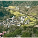 黄山旅游 缩略图 3