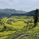 黄山旅游 缩略图 4
