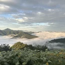 黄山旅游 缩略图 3