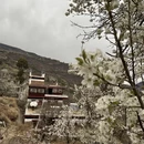 阿坝旅游 缩略图 18