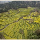 黄山旅游 缩略图 6