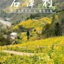 黄山旅游 缩略图 1