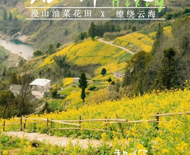 黄山旅游 1